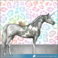 Horse Color:White Spotted Silver Grullo Chinchilla Ice Brindle 