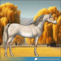 Horse Color:White Spotted Chocolate Palomino Roan Dun Rabicano