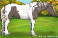 Horse Color:Silver Black Tobiano