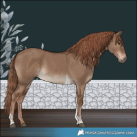 Horse Color:Liver Red Dun Tobiano 