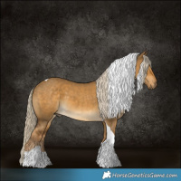 Horse Color:Chocolate Palomino Dun Tobiano 