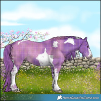 Horse Color:Watercolor Plaid Liver Chestnut Tobiano Rabicano