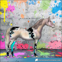 Horse Color:Watercolor Liver Red Onyx Roan Tobiano Rabicano