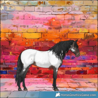 Horse Color:Brown Roan Appaloosa Rabicano 
