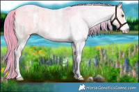 Horse Color:Watercolor Liver Red Dun Roan Sabino Brindle