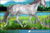 Horse Color:White Spotted Liver Red Dun Roan Onyx 