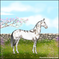 Horse Color:Brown Roan Onyx Frame Appaloosa Brindle 