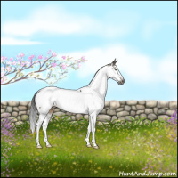Horse Color:Gray Brown Dun Sabino Fewspot 