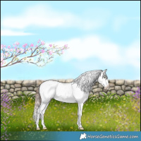 Horse Color:Brown Pearl Dun Splash Appaloosa Rabicano 