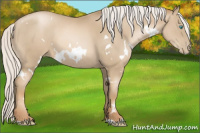 Horse Color:White Spotted Silver Smoky Black Pearl 