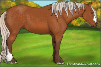 Horse Color:Silver Buckskin 