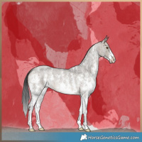 Horse Color:Brown Roan Dun Sabino Brindle 