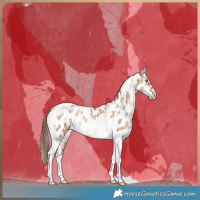 Horse Color:Liver Red Dun Snowdrop Tobiano Near Leopard Brindle 