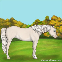 Horse Color:Cremello Dun 