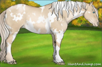 Horse Color:White Spotted Chocolate Palomino Pearl Dun 