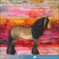 Horse Color:Buckskin Dun 