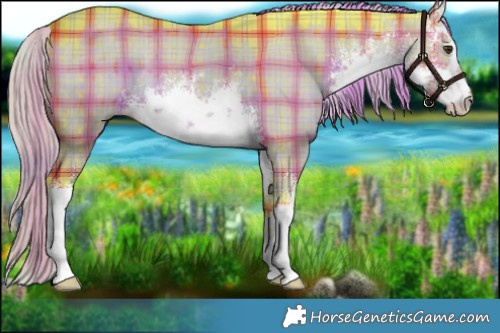 Horse Color:Watercolor Plaid White Spotted Liver Red Dun Rabicano Brindle