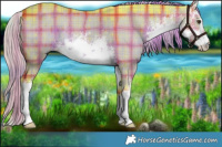 Horse Color:Watercolor Plaid  White Spotted Liver Red Dun Rabicano Brindle 