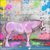 Horse Color:Watercolor Plaid Liver Red Dun Onyx Sabino Tobiano