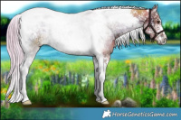 Horse Color:Watercolor White Spotted Chocolate Palomino Ice Onyx Tobiano 