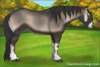 Horse Color:Blue Onyx Sabino 