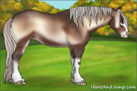 Horse Color:Silver Brown Onyx Sabino 