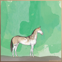 Horse Color:Buckskin Dun Sabino 