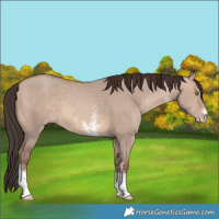 Horse Color:Sable Champagne Dun Sabino 