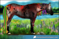 Horse Color:Void Painted Plaid  White Spotted Liver Red Onyx Sabino 