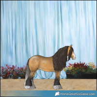 Horse Color:Buckskin Sabino 