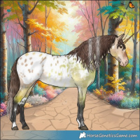 Horse Color:White Spotted Brown Dun Blanket Brindle 