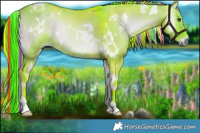 Horse Color:Painted Watercolor White Spotted Liver Red Dun Onyx