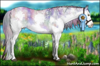 Horse Color:Nacre Plaid  Chocolate Palomino Ice Roan Dun Sabino Splash 