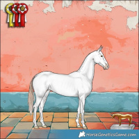 Horse Color:Liver Red Dun Appaloosa Brindle 