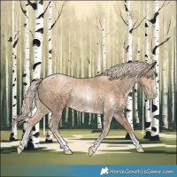 Horse Color:Chocolate Palomino Pearl Sabino Rabicano 