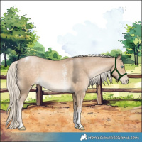 Horse Color:Chocolate Palomino Pearl Sabino Tobiano Rabicano 