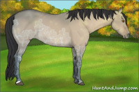 Horse Color:Bay Ice Dun Mushroom 