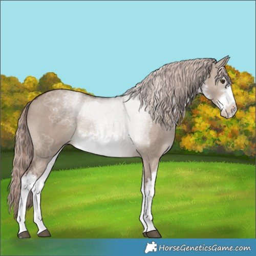 Horse Color:White Spotted Liver Red Dun Mushroom Rabicano 