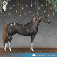 Horse Color:White Spotted Liver Chestnut Rabicano 