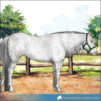 Horse Color:Platinum White Spotted Liver Red Dun Sabino 