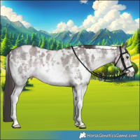 Horse Color:Platinum White Spotted Liver Red Dun Sabino Brindle 