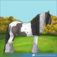 Horse Color:Grullo Tobiano 