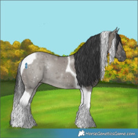 Horse Color:Grullo Tobiano