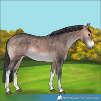 Horse Color:Platinum White Spotted Bay 