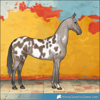 Horse Color:Liver Red Dun Appaloosa Brindle 