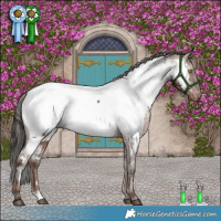 Horse Color:Liver Red Dun Appaloosa Brindle