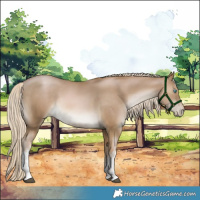 Horse Color:White Spotted Chocolate Palomino Pearl Mushroom Rabicano 