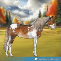 Horse Color:Chocolate Palomino Mushroom Tobiano 