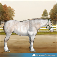 Horse Color:Chocolate Palomino Roan Mushroom Sabino Rabicano 