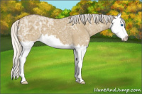 Horse Color:Silver Smoky Grullo Ice Splash